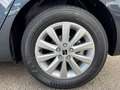 SEAT Ibiza Road Edition 1.0TSI *PDC+Kamera+Virt.Cock.* Grau - thumbnail 20