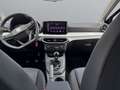 SEAT Ibiza Road Edition 1.0TSI *PDC+Kamera+Virt.Cock.* Grau - thumbnail 12