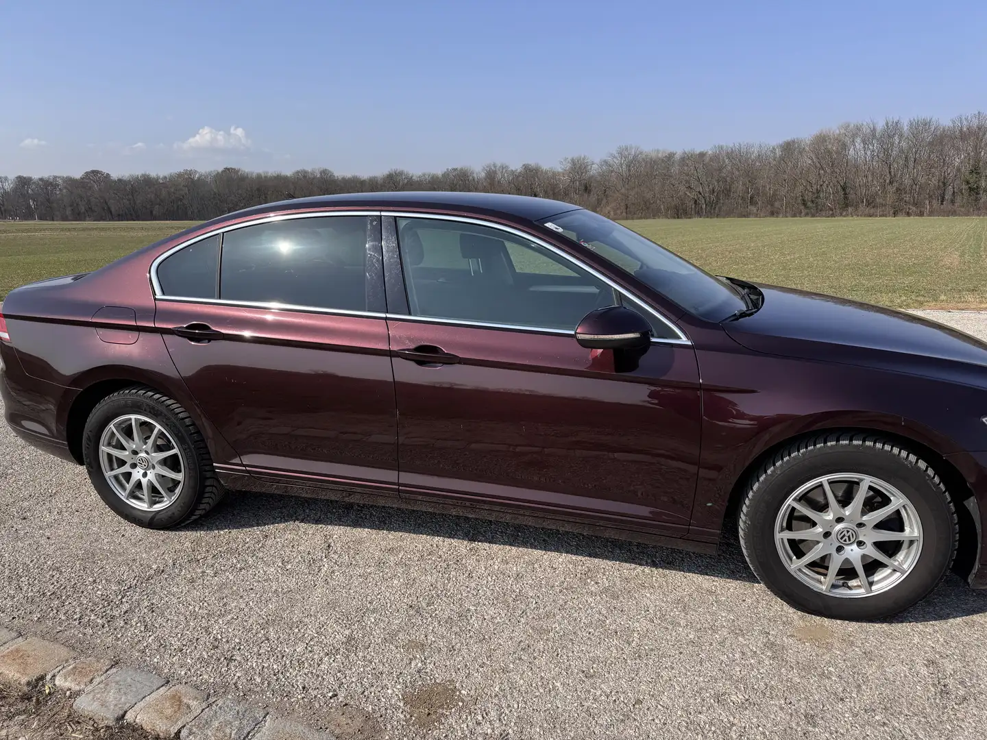 Volkswagen Passat Trendline 1,6 TDI  | gepflegt | sparsam| komfortab - 2