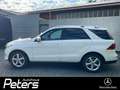 Mercedes-Benz GLE 350 GLE 350 d 4Matic Airmatic Sitzklima/Distr/AHK/ILS Wit - thumbnail 3