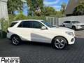 Mercedes-Benz GLE 350 GLE 350 d 4Matic Airmatic Sitzklima/Distr/AHK/ILS Wit - thumbnail 22