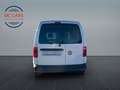 Volkswagen Caddy Kasten BMT Automatik/1.Hand/ab.150€mtl Weiß - thumbnail 7