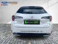 Suzuki Swace 1.8 Comfort + Comfort+ ACC+LED+Navi+SHZ+LM Weiß - thumbnail 7