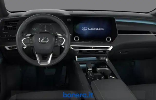 Lexus RX view 5