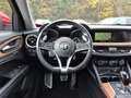 Alfa Romeo Stelvio 2.0 First Edition Q4 PDC Kamera AHK SHZ Rouge - thumbnail 10