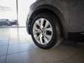 Renault Captur II Business Edition 1.5 dci 95Cv 36 mesi garanzia Bleu - thumbnail 4