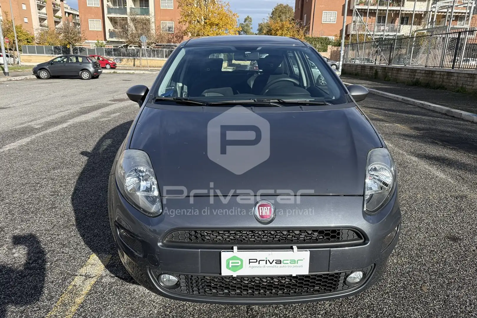 Fiat Punto Punto 1.4 S&S 8V 5 porte Young Blu/Azzurro - 2
