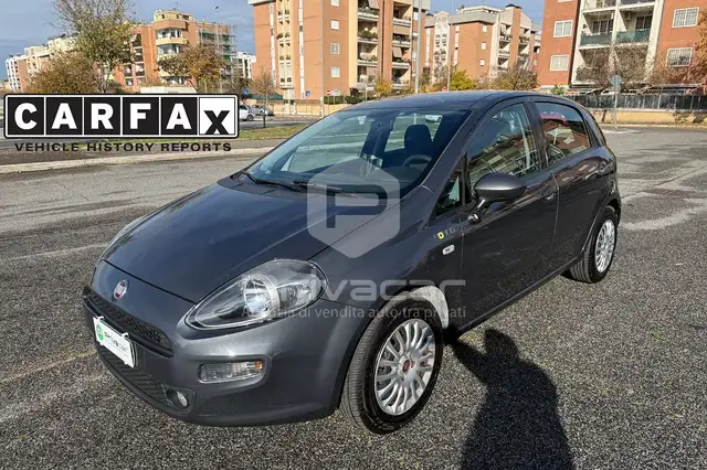 Fiat Punto Punto 1.4 S&S 8V 5 porte Young