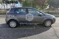 Fiat Punto Punto 1.4 S&S 8V 5 porte Young Blu/Azzurro - thumbnail 4