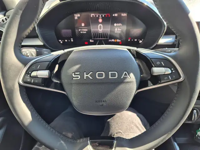 Skoda Fabia view 15