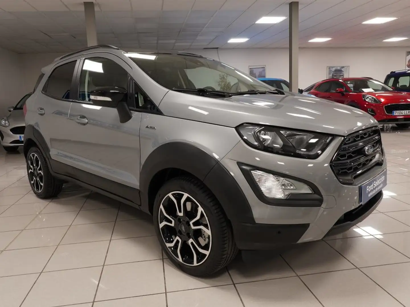 Ford EcoSport 1.0 EcoBoost Active 125 Silber - 2