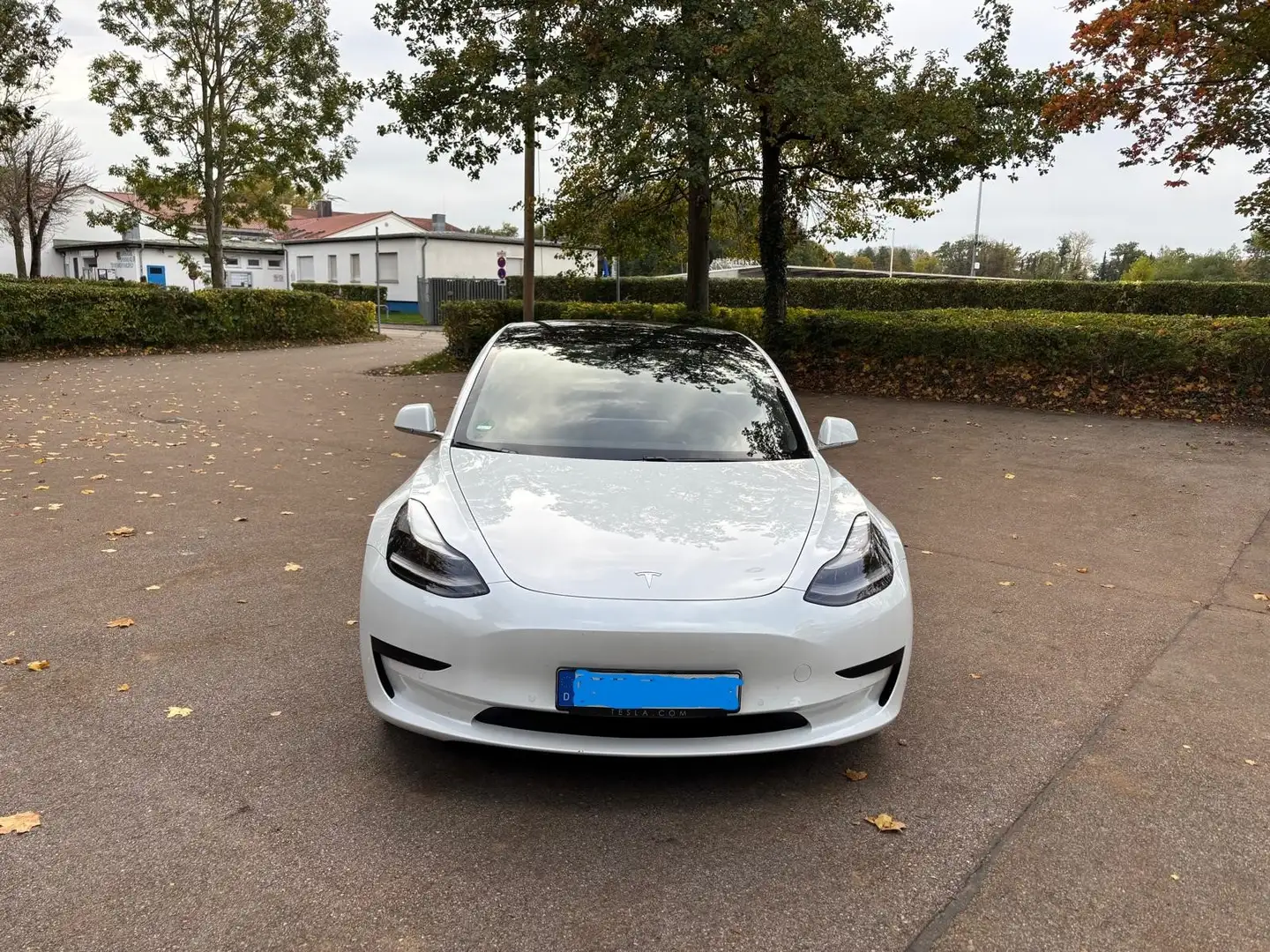 Tesla Model 3 Model 3 Standard Reichweite Plus Hinterradantrieb Weiß - 2