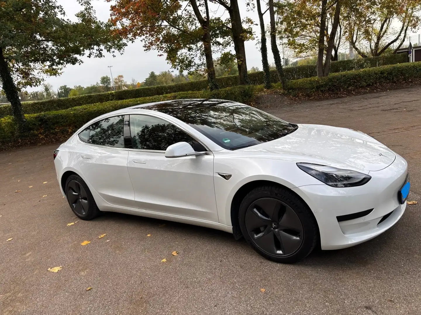 Tesla Model 3 Model 3 Standard Reichweite Plus Hinterradantrieb Weiß - 1