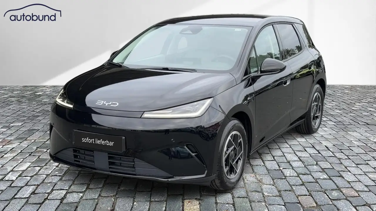 BYD Dolphin