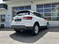 SEAT Arona 1,0 TSI Reference Edition Weiß - thumbnail 3