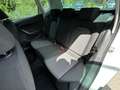 SEAT Arona 1,0 TSI Reference Edition Weiß - thumbnail 21