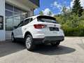 SEAT Arona 1,0 TSI Reference Edition Weiß - thumbnail 4