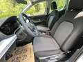 SEAT Arona 1,0 TSI Reference Edition Weiß - thumbnail 20