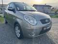 Kia Picanto 1.1 Active Grau - thumbnail 4