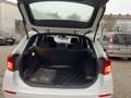 BMW X1 d xDrive  25 guter, gebrauchter, kompakter SUV Alb - thumbnail 7