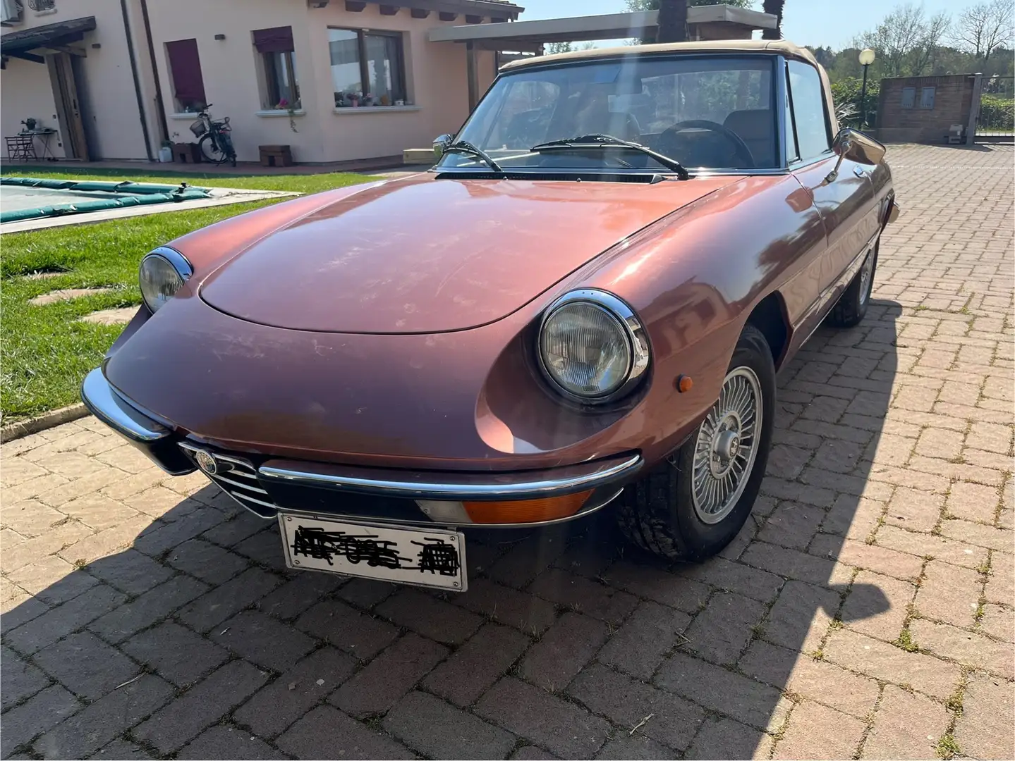 Alfa Romeo Spider Duetto 1600 junior Brun - 1