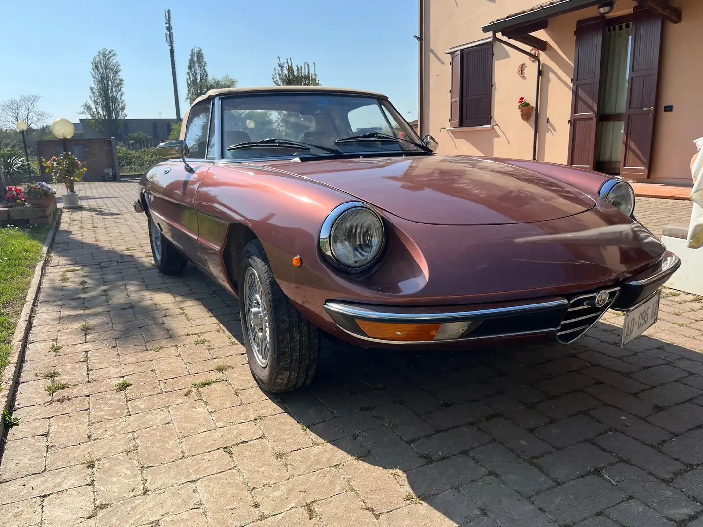 Alfa Romeo Spider Duetto 1600 junior Brown - 2