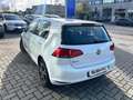 Volkswagen Golf Golf 1.4 TGI 5p. Trendline BlueMotion Bianco - thumbnail 7