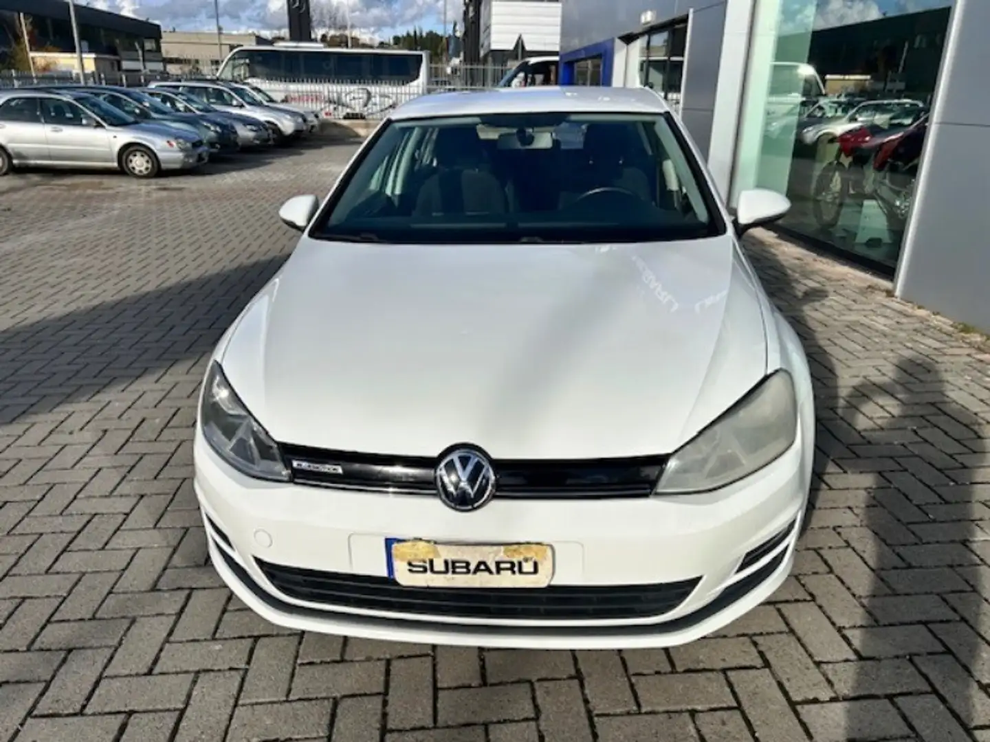Volkswagen Golf Golf 1.4 TGI 5p. Trendline BlueMotion Bianco - 2