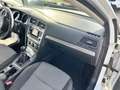 Volkswagen Golf Golf 1.4 TGI 5p. Trendline BlueMotion Bianco - thumbnail 15