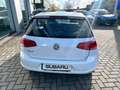 Volkswagen Golf Golf 1.4 TGI 5p. Trendline BlueMotion Bianco - thumbnail 6