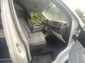 Volkswagen trasporter T6 2.0tdi Bianco - thumbnail 7