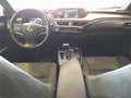 Lexus UX 250h Business 2WD - thumbnail 17