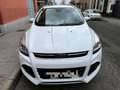 Ford Kuga 1.5 EcoB. Auto S&S Trend 4x2 150 Blanco - thumbnail 1
