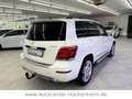 Mercedes-Benz GLK 350 GLK -Klasse GLK 350 4Matic /AHK/Pano Bianco - thumbnail 7