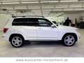Mercedes-Benz GLK 350 GLK -Klasse GLK 350 4Matic /AHK/Pano Weiß - thumbnail 8
