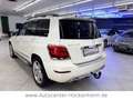 Mercedes-Benz GLK 350 GLK -Klasse GLK 350 4Matic /AHK/Pano Weiß - thumbnail 5