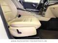 Mercedes-Benz GLK 350 GLK -Klasse GLK 350 4Matic /AHK/Pano Weiß - thumbnail 22