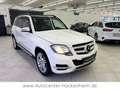 Mercedes-Benz GLK 350 GLK -Klasse GLK 350 4Matic /AHK/Pano Bianco - thumbnail 1