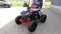 Can Am Renegade 110 Xxc| keine STD DS 90 Kinderquad Grey - thumbnail 3