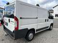 Fiat Ducato 115 NAVI KLIMA KAMERA AHK EURO5 Weiß - thumbnail 5