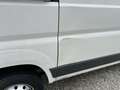 Fiat Ducato 115 NAVI KLIMA KAMERA AHK EURO5 Weiß - thumbnail 14