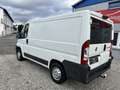 Fiat Ducato 115 NAVI KLIMA KAMERA AHK EURO5 Weiß - thumbnail 4