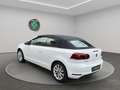 Volkswagen Golf Cabriolet Golf VI Cabriolet 2.0 TDI 140 FAP Carat DSG6 Wit - thumbnail 6