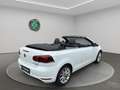 Volkswagen Golf Cabriolet Golf VI Cabriolet 2.0 TDI 140 FAP Carat DSG6 Wit - thumbnail 3