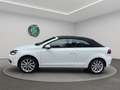 Volkswagen Golf Cabriolet Golf VI Cabriolet 2.0 TDI 140 FAP Carat DSG6 Wit - thumbnail 5