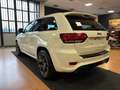 Jeep Grand Cherokee 6.4 V8 HEMI SRT 8Rapporti IVA 22% FULL FULL Wit - thumbnail 9