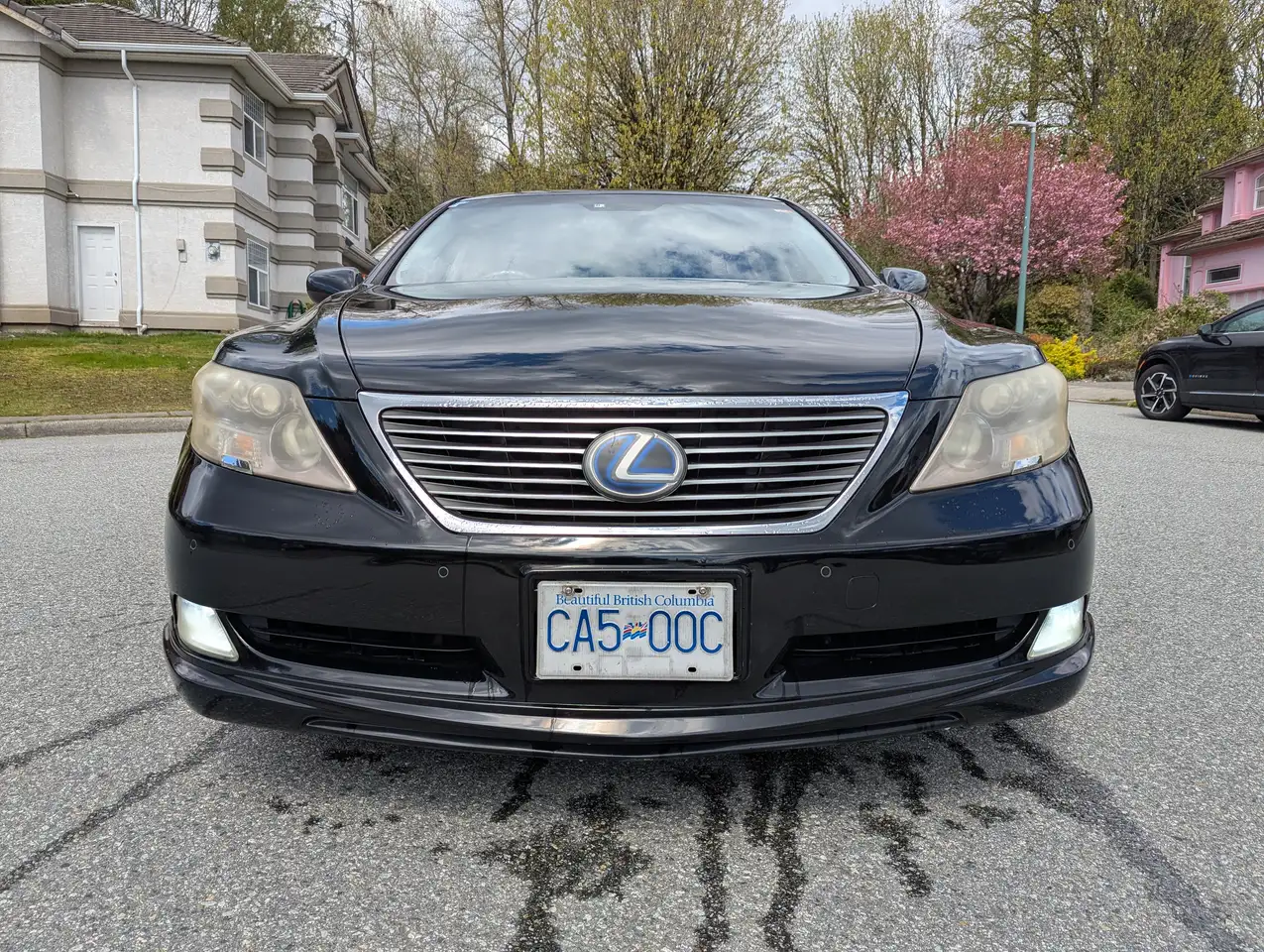 Lexus LS снимка Lexus LS