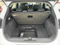 Ford Puma 1.0 EcoBoost Titanium ACC+LED+NAV+SHZ+KAMERA Weiß - thumbnail 21