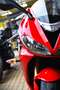 Triumph Daytona 675 ***MOTO VERTE*** Red - thumbnail 8