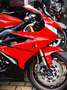 Triumph Daytona 675 ***MOTO VERTE*** Red - thumbnail 4